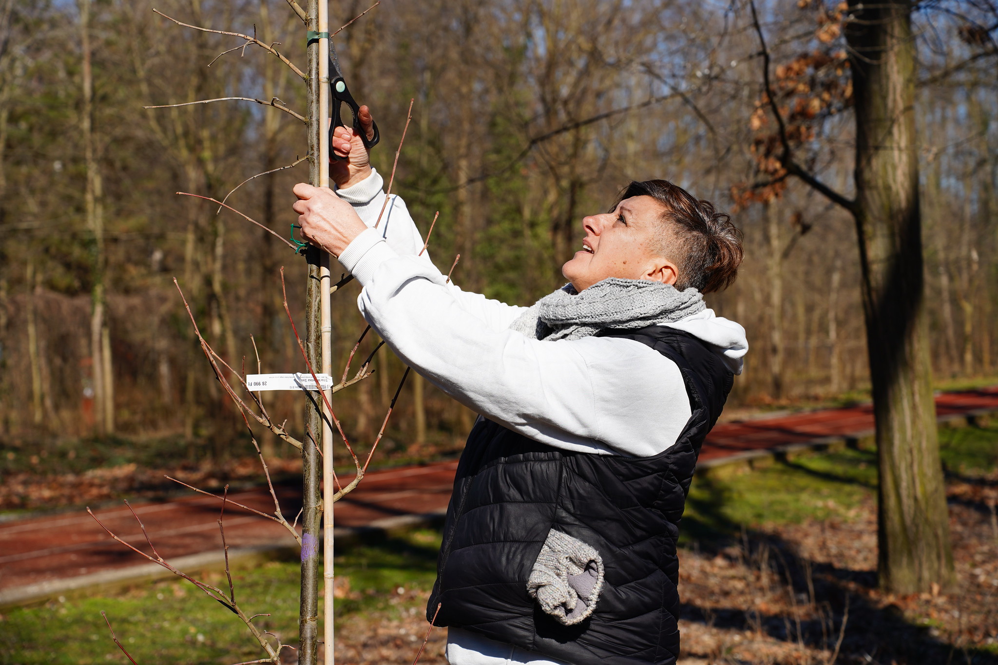 Maczkó Anikó, a Zöld Akciócsoport egyik alapítója faültetés közben